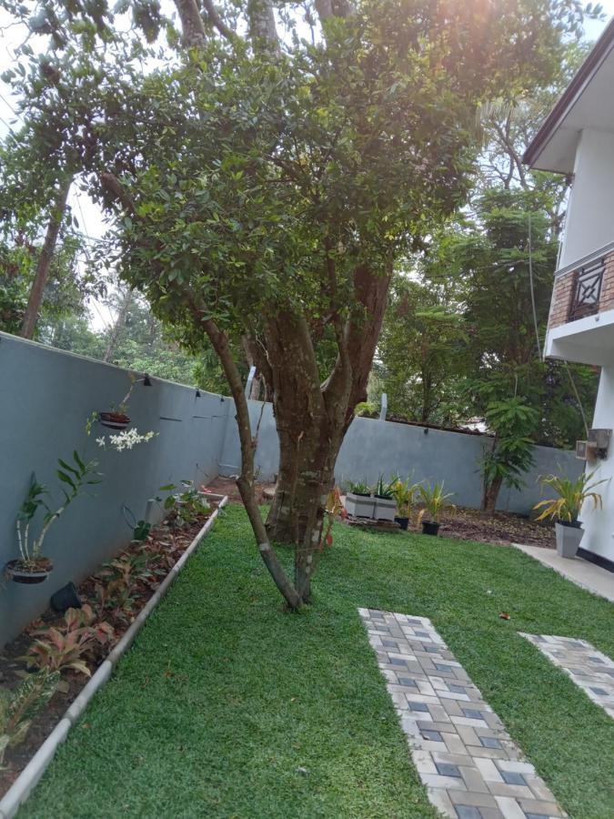 Sky Bloom Bed & Breakfast Homagama Bagian luar foto
