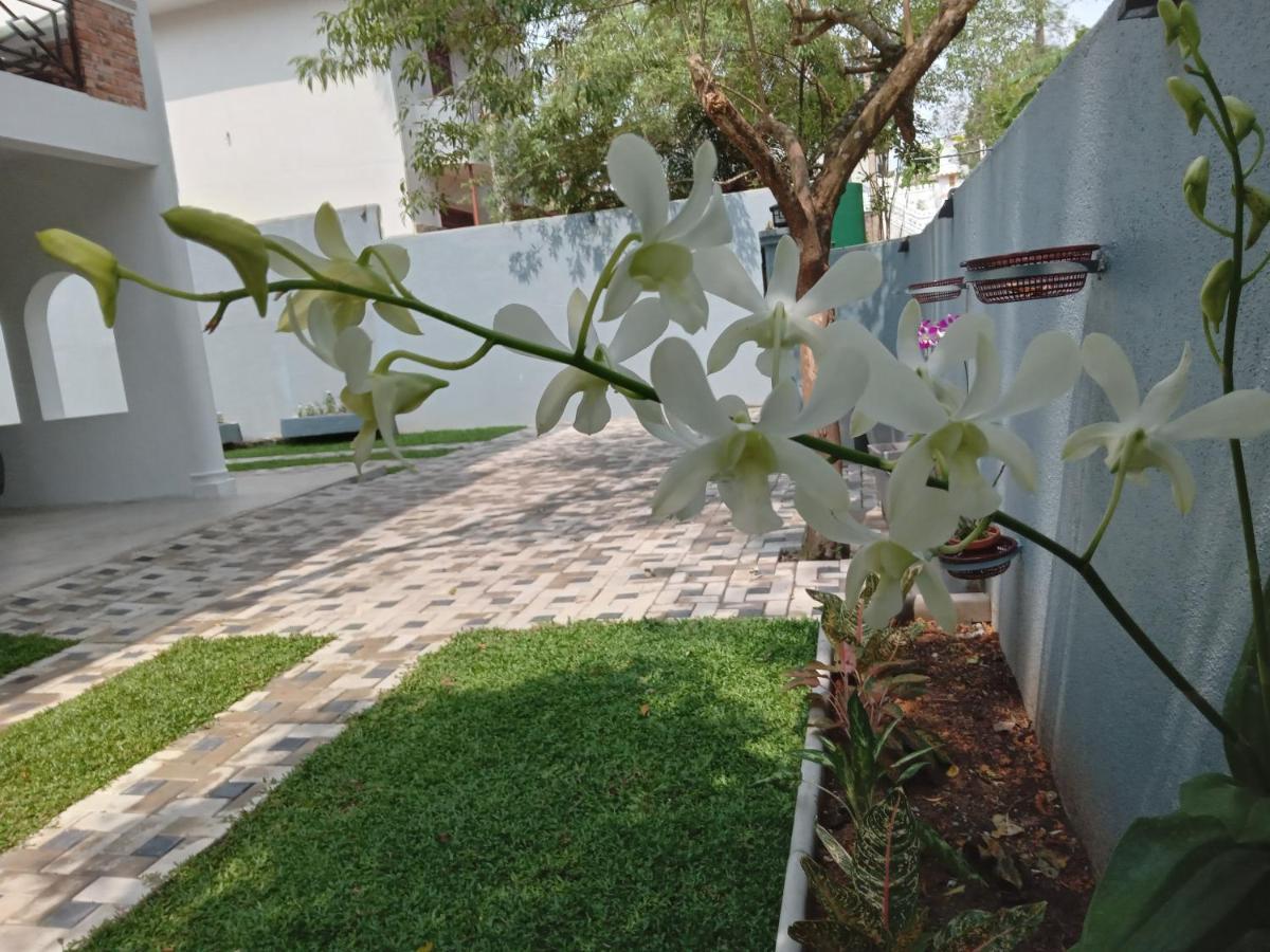 Sky Bloom Bed & Breakfast Homagama Bagian luar foto