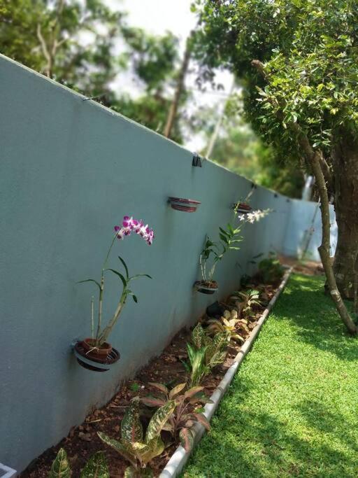 Sky Bloom Bed & Breakfast Homagama Bagian luar foto